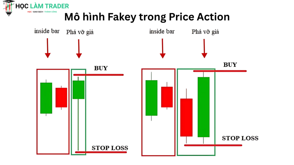 Mô hình Fakey