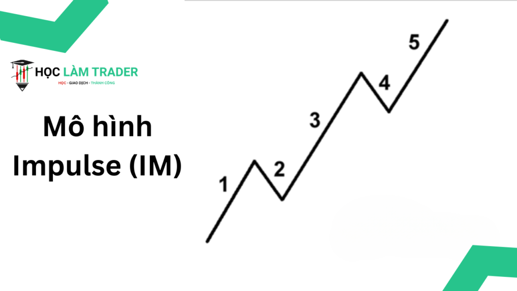Mo hinh Impulse IM