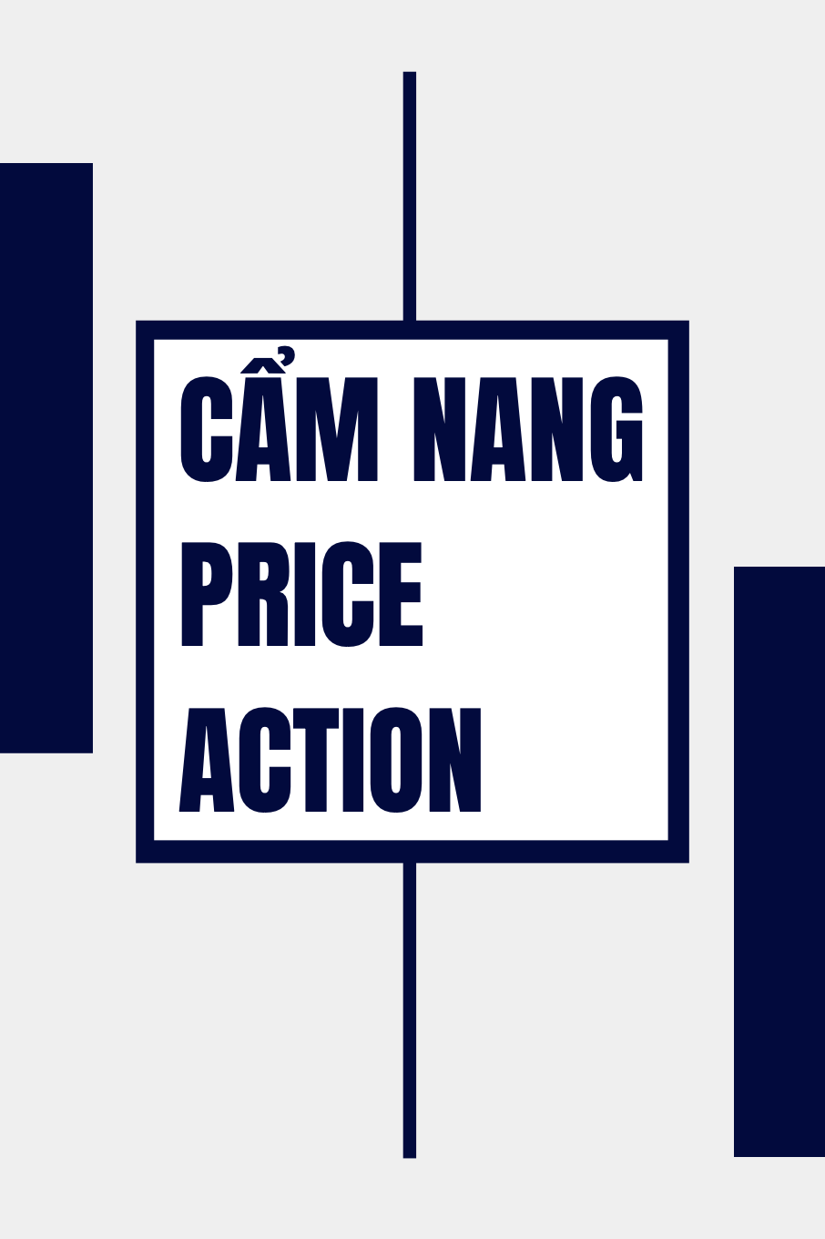Sách Cẩm nang Price Action