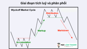 Giai Đoạn Tích Lũy và Phân Phối