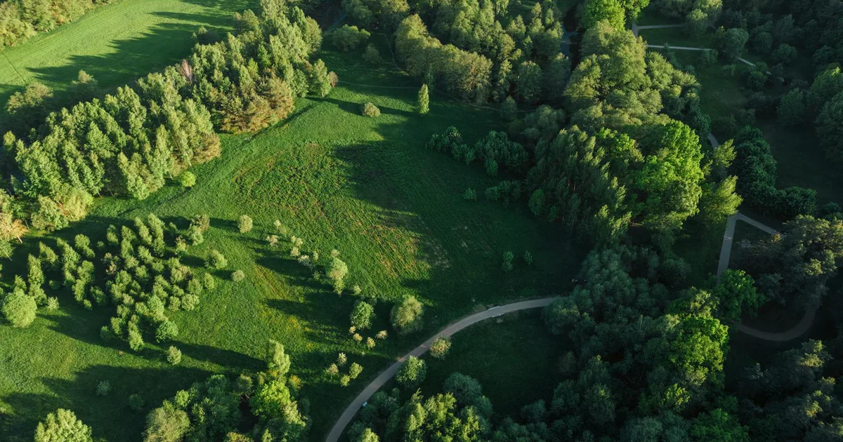 Sai Lầm Phổ Biến Nhất Khi Dùng Elliott: Kẻ Ngáo Cầu 'Nhìn Đâu Cũng Thấy Sóng' Góc nhìn toàn cảnh từ trên cao vạch trần sai lầm phiếm diện