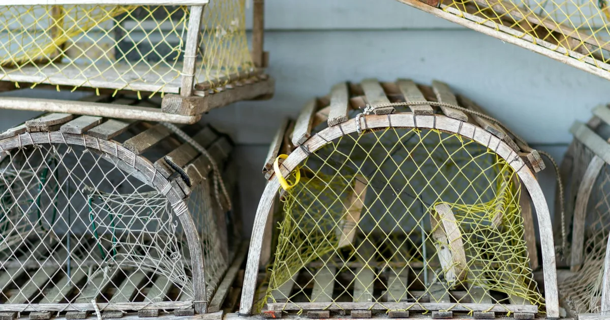 Volume Breakout: 5 Dấu Hiệu Nhận Diện Cú Phá Vỡ Có Lực Của Cá Mập Bẫy chuột trên đồ thị đại diện cho cú lừa Fakeout quét thanh khoản