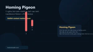 Homing Pigeon pattern overview