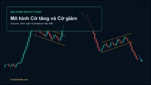 Biểu đồ hai panel mô hình cờ tăng và cờ giảm với breakout tiếp diễn