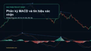 Biểu đồ giá và MACD cho thấy đỉnh giá cao hơn nhưng đỉnh MACD thấp hơn