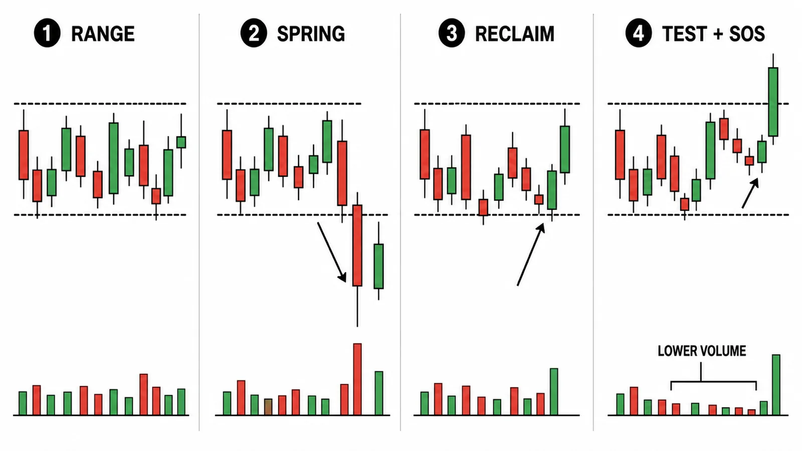 Wyckoff Spring và Test: Cách nhận diện cú phá đáy tích lũy Bốn bước nhận diện Spring, reclaim, Test và SOS